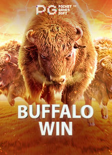 วิธีเล่น dafabet สำหรับมือใหม่ที่ต้องรู้